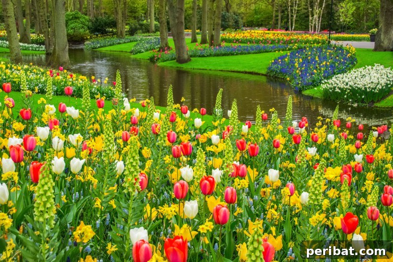 All kinds of flowers blooming next to each other.