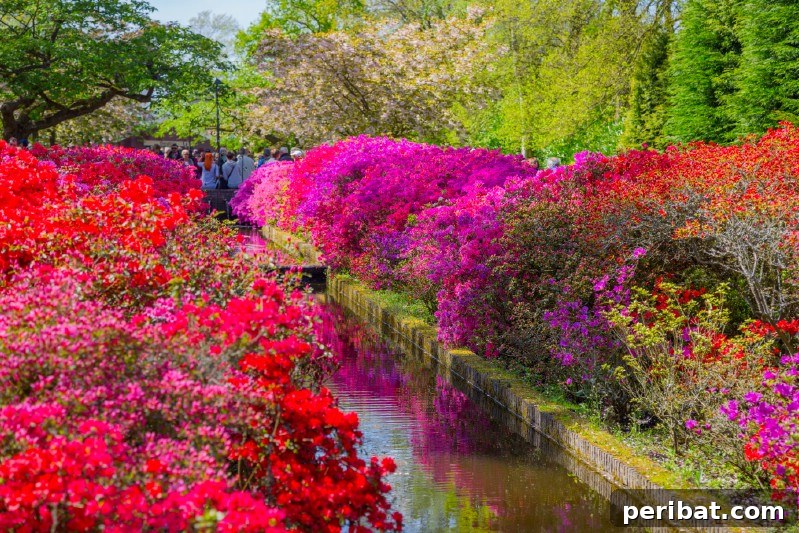 Colorful trees and flowers blooming in a flower park.
