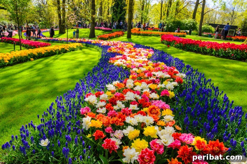 Colorful flowers within blue flower edge.
