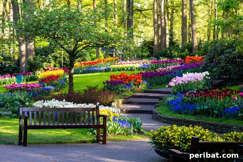 A Sea of 7 Million Blooms Netherlands Grandest Gardens in 50 Photos 6 Hardscaping in Keukenhof Gardens