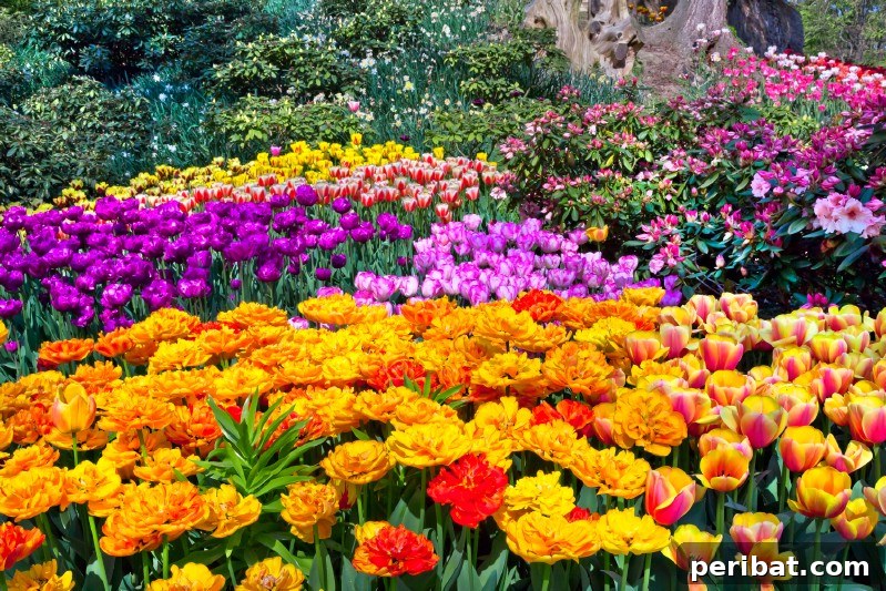 A Sea of 7 Million Blooms Netherlands Grandest Gardens in 50 Photos 52 All kinds of colorful flowers.