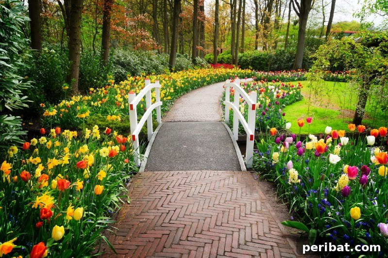 A Sea of 7 Million Blooms Netherlands Grandest Gardens in 50 Photos 7 Beautiful Stone Walkways