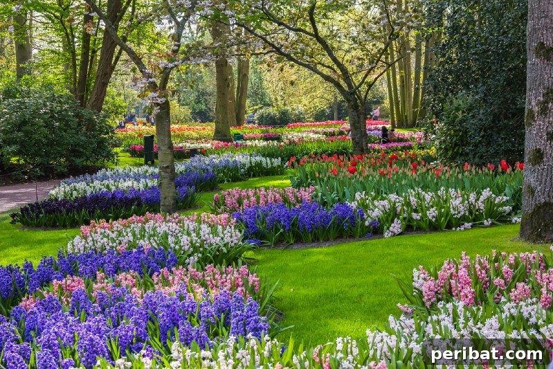 A Sea of 7 Million Blooms Netherlands Grandest Gardens in 50 Photos 8 Tulips and Landscaping Trees at Keukenhof