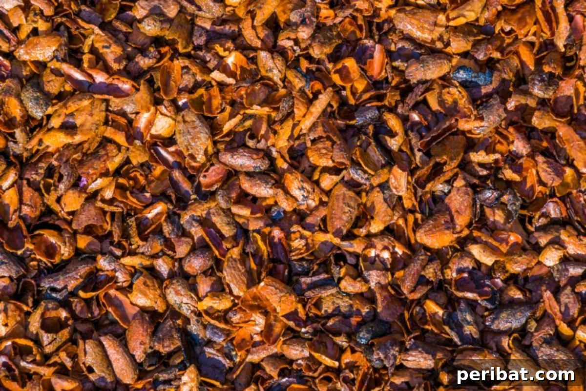 Cocoa chips mulch