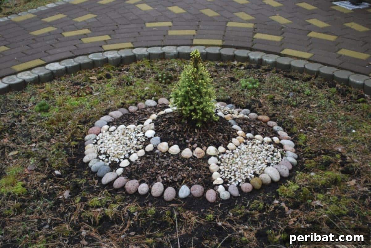 Stone mulch decorating a thuia.