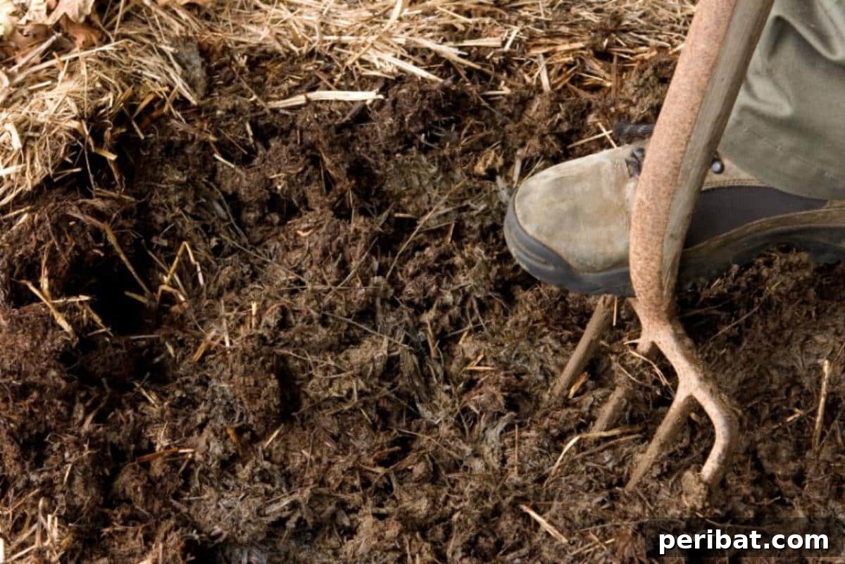 Organic mulch.