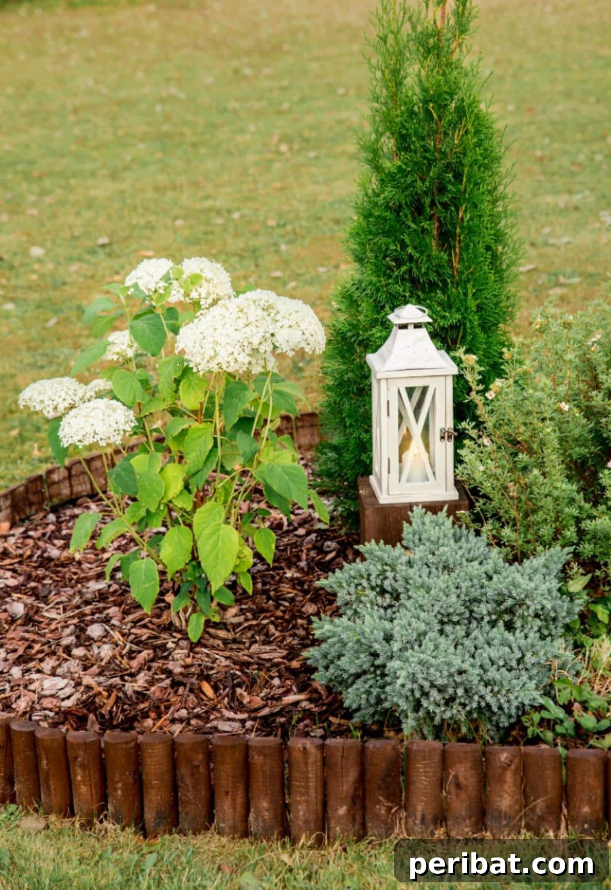 Edged mulch to prevent washing away.