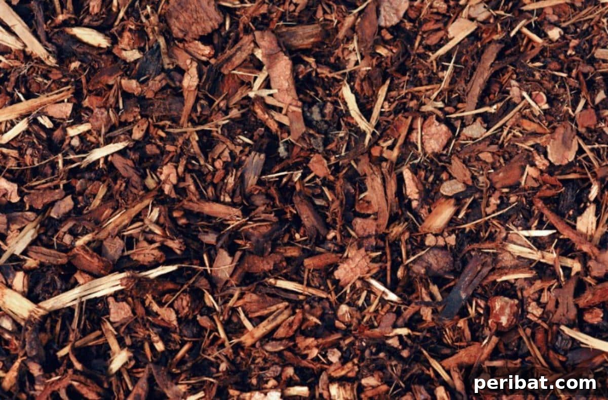 Shredded bark mulch.