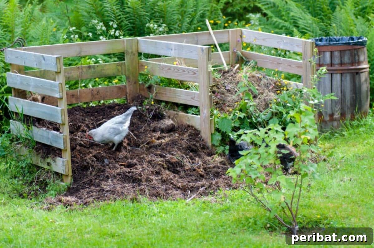Compost mulch ready to be used.