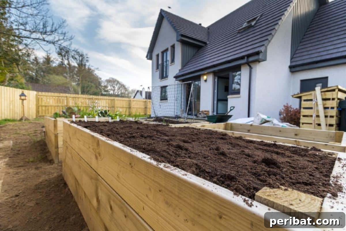 Achieve Perfect Strawberries: 27 Essential Gardening Tips 14 Freshly filled garden raised bed with the soil.