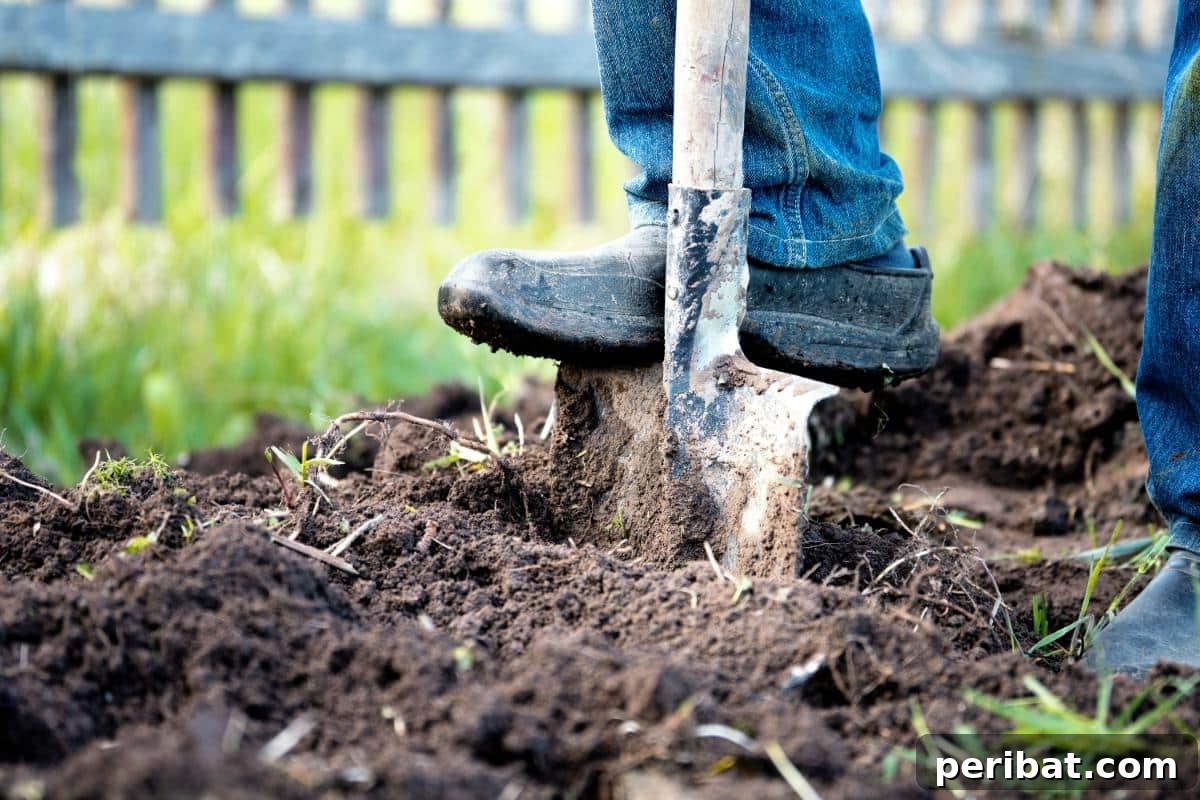 Achieve Perfect Strawberries: 27 Essential Gardening Tips 16 A gardener is tilling the soil.