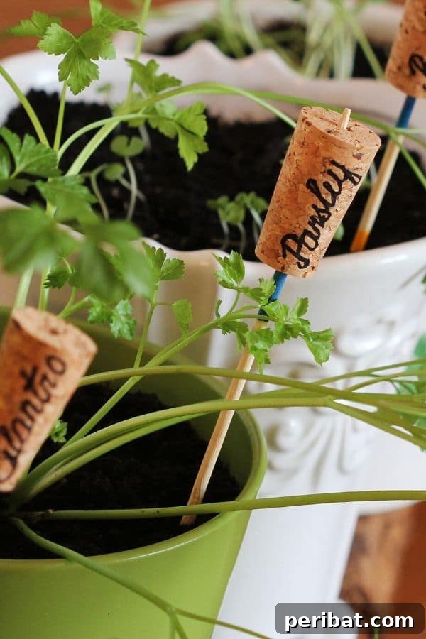 Essential Summer Hacks for a Stress-Free Season 14 Cork garden markers