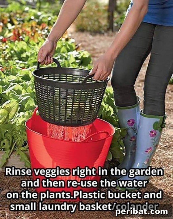 Essential Summer Hacks for a Stress-Free Season 15 Gardening infographic