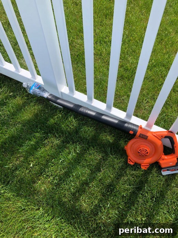 Essential Summer Hacks for a Stress-Free Season 19 Leaf blower on grass