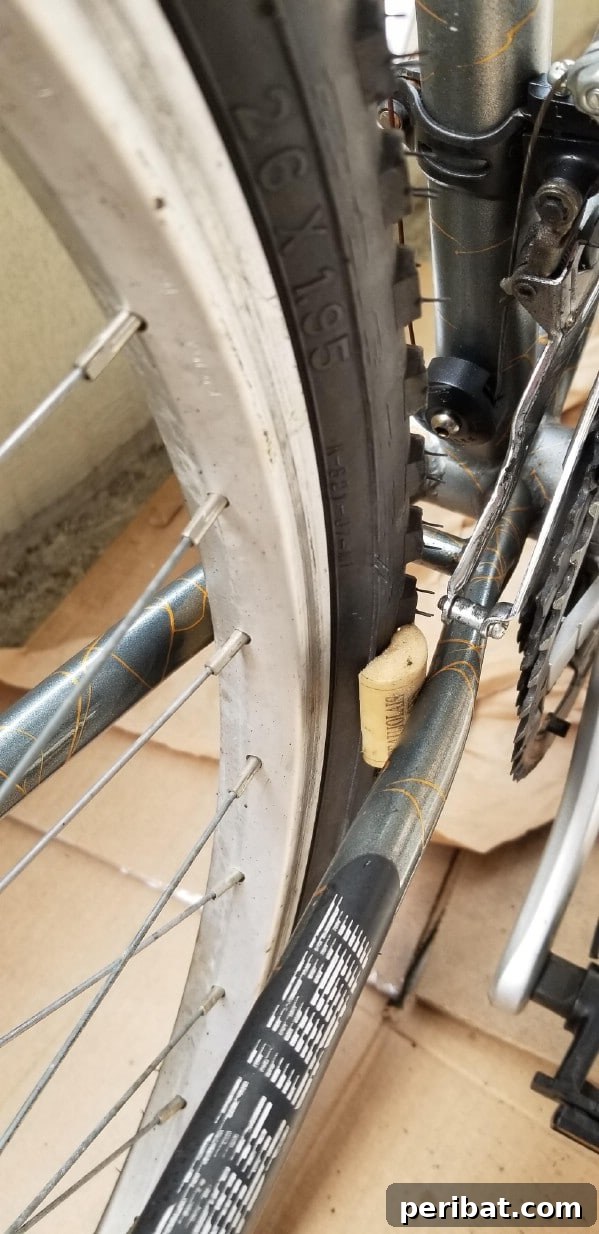 Essential Summer Hacks for a Stress-Free Season 20 Cork in bicycle bar