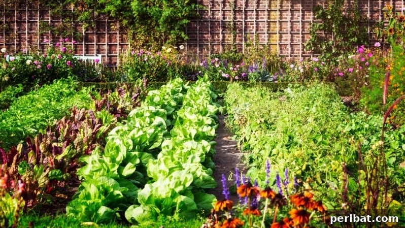 30 Easy-Care Fruits and Vegetables for Beginner Gardeners 3 Freshly grown lettuce in a garden bed, perfect for beginners.