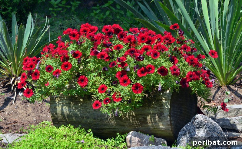 Natural Wood Planters: Craft Your Own Rustic Oasis 12 Dense Planting in Horizontal Log Planter