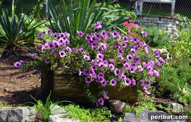 Natural Wood Planters: Craft Your Own Rustic Oasis 17 Flowers in Log Planter