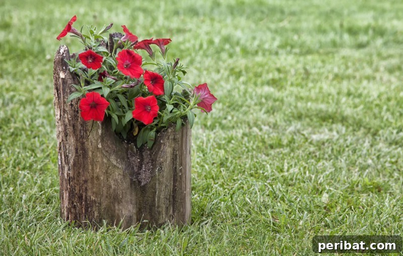 Natural Wood Planters: Craft Your Own Rustic Oasis 3 Vibrant Red Petunias in a log planter