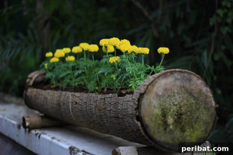 Natural Wood Planters: Craft Your Own Rustic Oasis 5 Yellow Springtime Blossoms in a Rustic Log Planter
