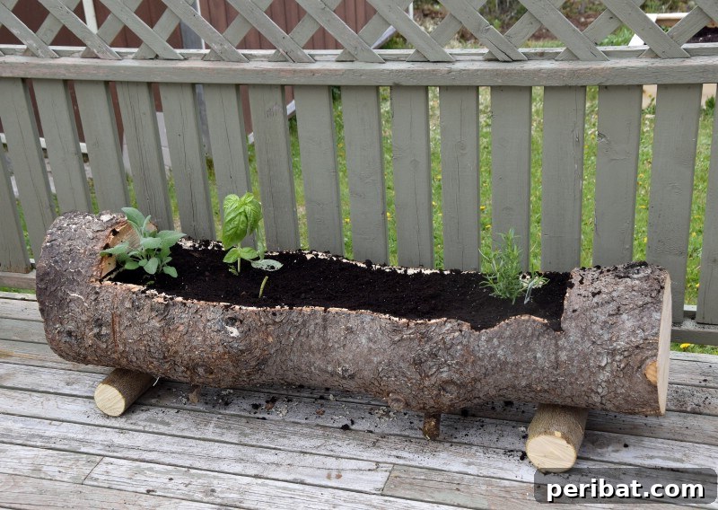 Natural Wood Planters: Craft Your Own Rustic Oasis 6 Simple Hollow Log Planter