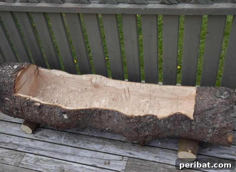 Natural Wood Planters: Craft Your Own Rustic Oasis 8 Rustic Log Planter Before Planting