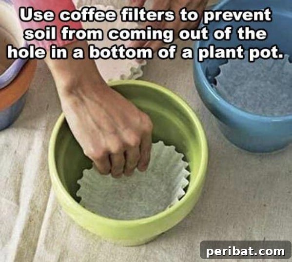 Coffee filters in flower pot - Coffee filters lining the bottom of a flower pot before soil is added