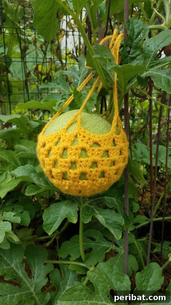 Crochet watermelon basket - A crocheted basket supporting a watermelon on its vine