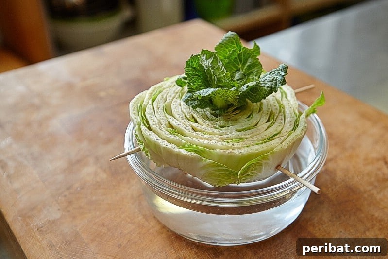 27 Plants and Fruits That Thrive in Water 16 Bok choy base regrowing new leaves in a small bowl of water
