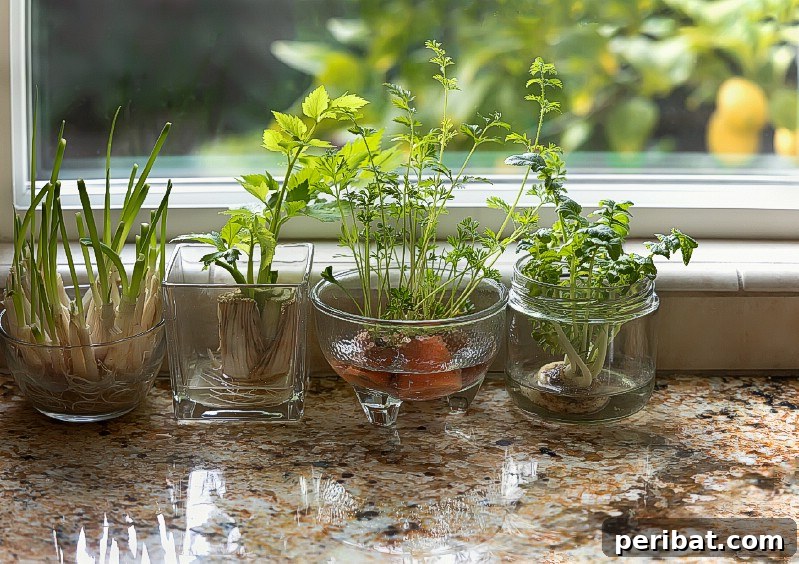 27 Plants and Fruits That Thrive in Water 9 Carrot tops regrowing greens in a shallow bowl of water on a windowsill