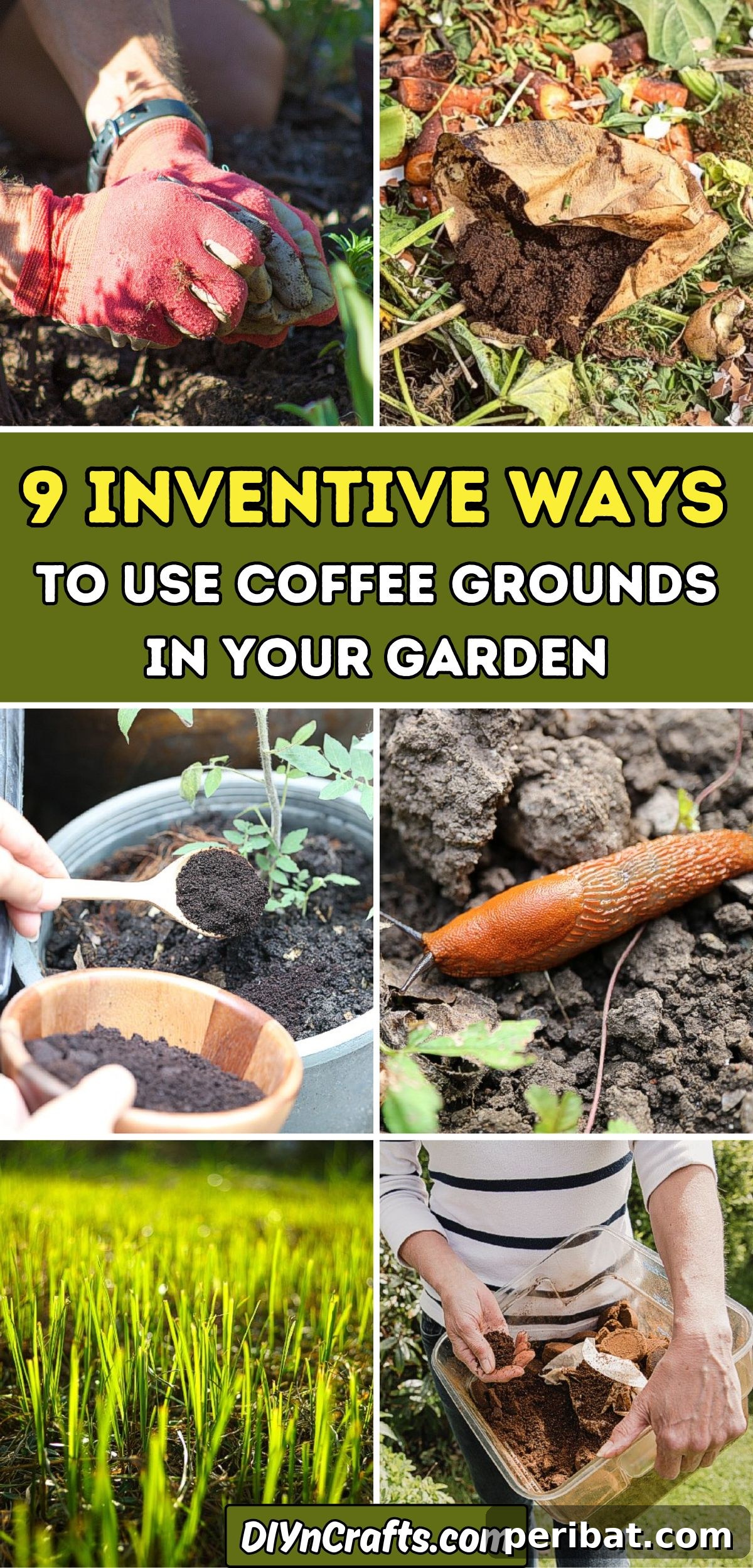 Beyond the Cup: 9 Brilliant Garden Uses for Coffee Grounds 2 9 Inventive Ways to Use Coffee Grounds in Your Garden collage.