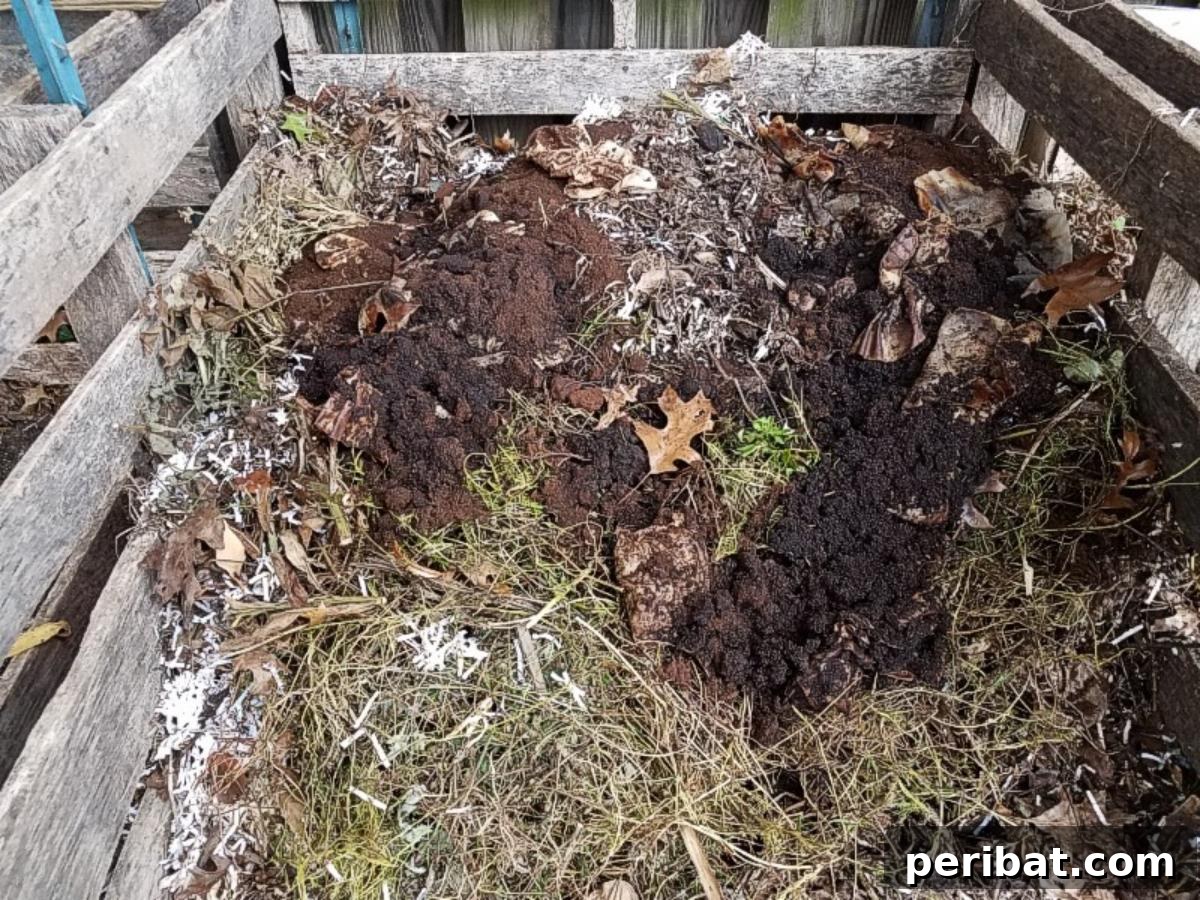 Beyond the Cup: 9 Brilliant Garden Uses for Coffee Grounds 12 Coffee grounds in a compost area.