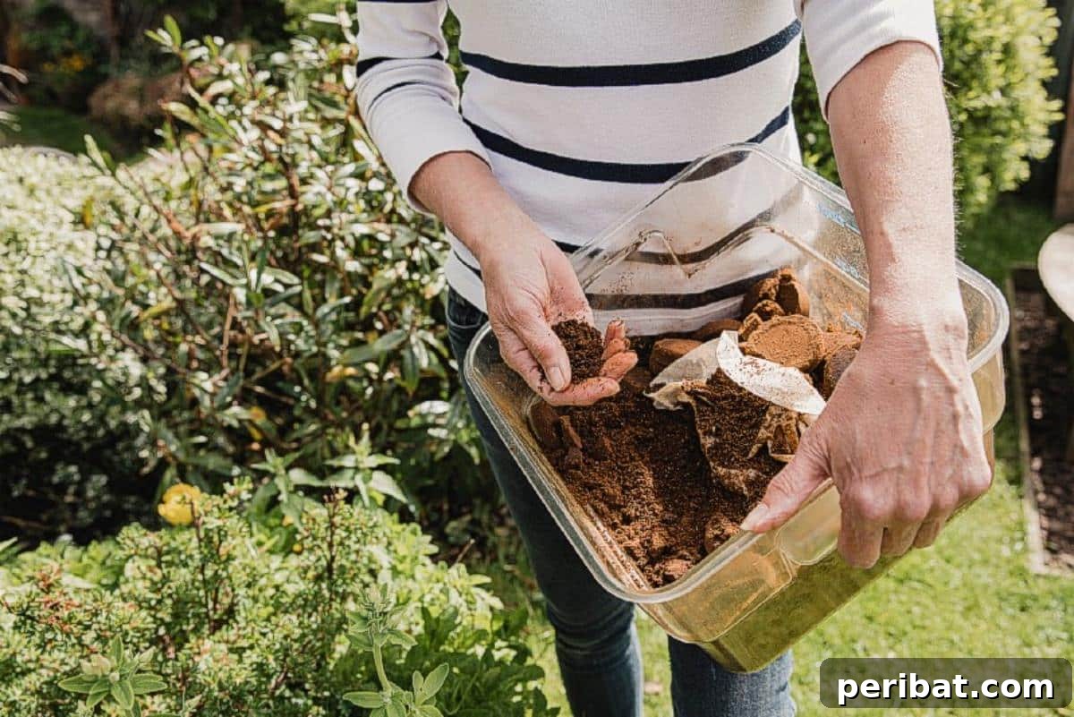Beyond the Cup: 9 Brilliant Garden Uses for Coffee Grounds 4 A gardener is adding coffee grounds in the garden.
