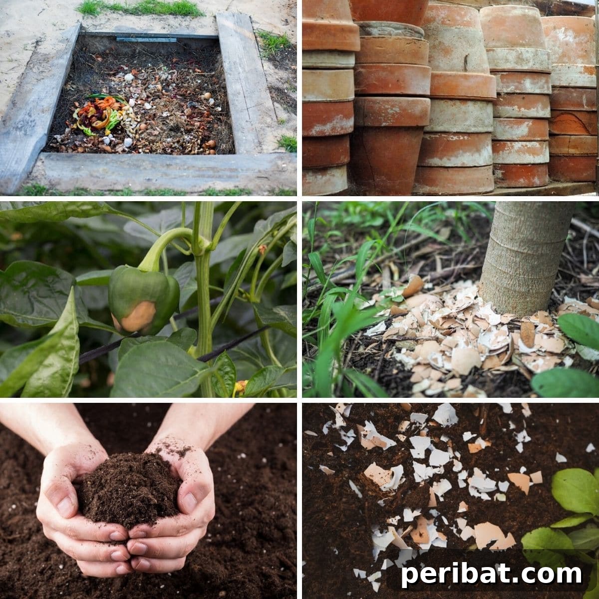 9 Genius Eggshell Hacks for a Thriving Garden 2 Creative uses for eggshells in the garden