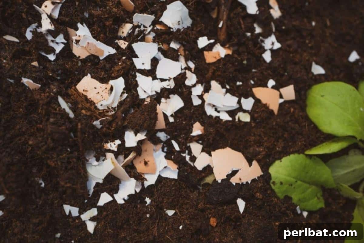 9 Genius Eggshell Hacks for a Thriving Garden 3 DIY organic fertilizers from eggshells
