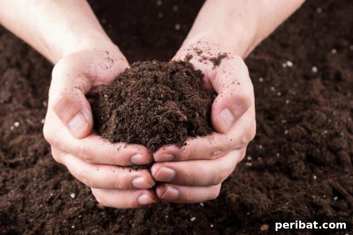 9 Genius Eggshell Hacks for a Thriving Garden 5 Eggshells for soil improvement