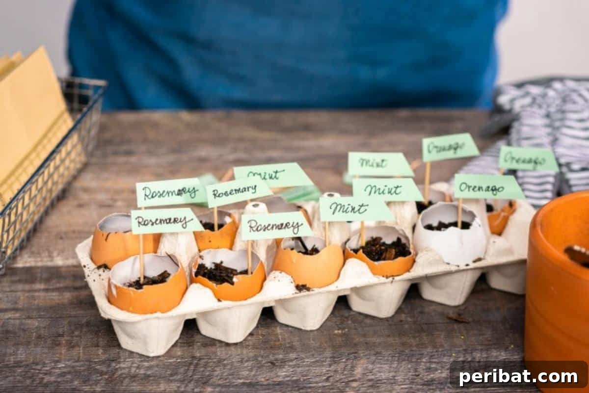 9 Genius Eggshell Hacks for a Thriving Garden 6 Seed Starting using eggshells as biodegradable pots