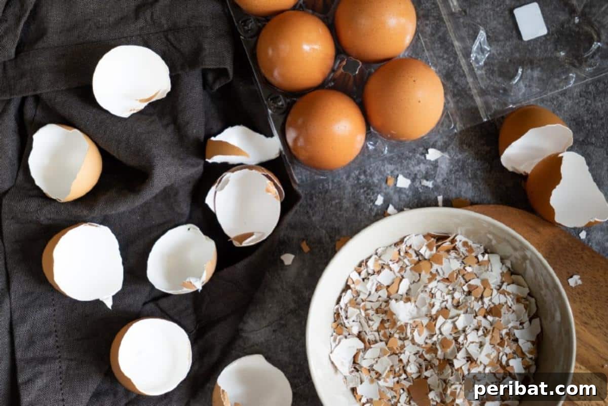 9 Genius Eggshell Hacks for a Thriving Garden 8 Eggshells as a calcium supplement for birds
