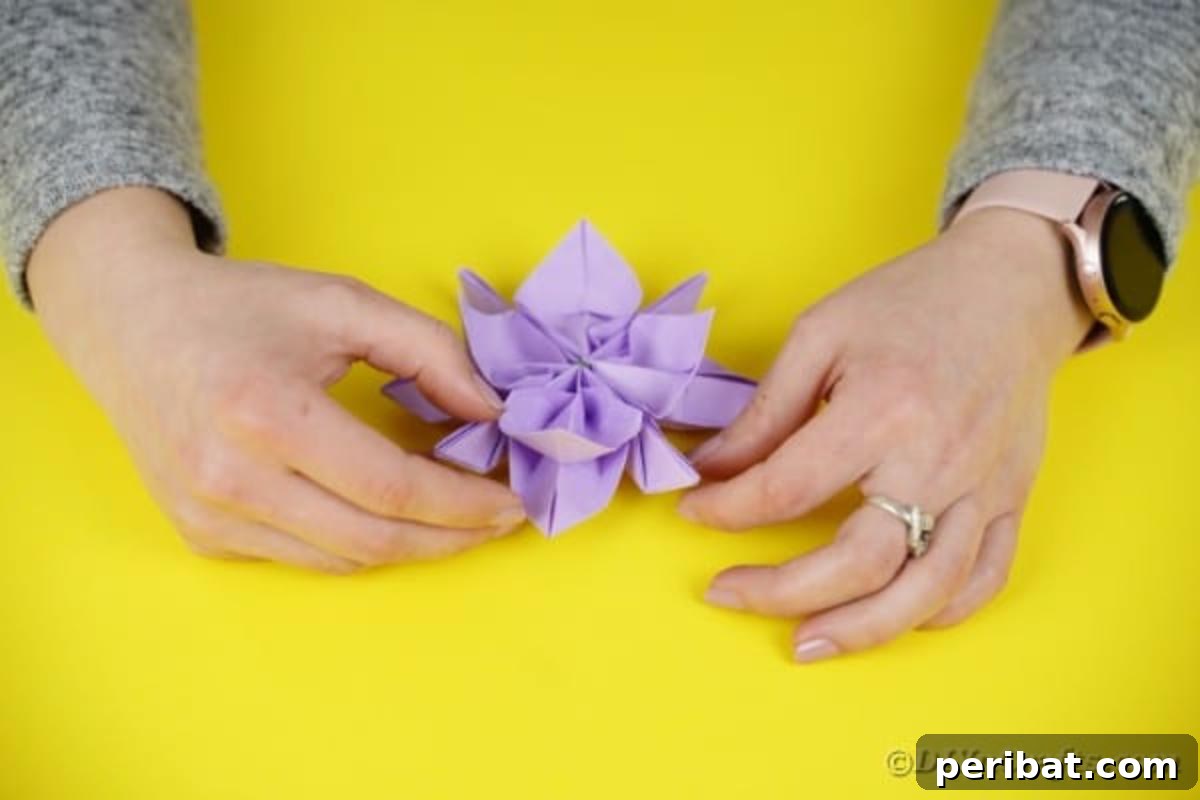 All purple petals separated and layered, creating a full lotus bloom.