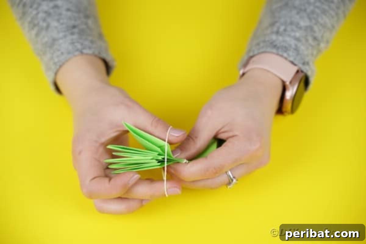 Green paper segments fanned out, beginning to form the leaf base.