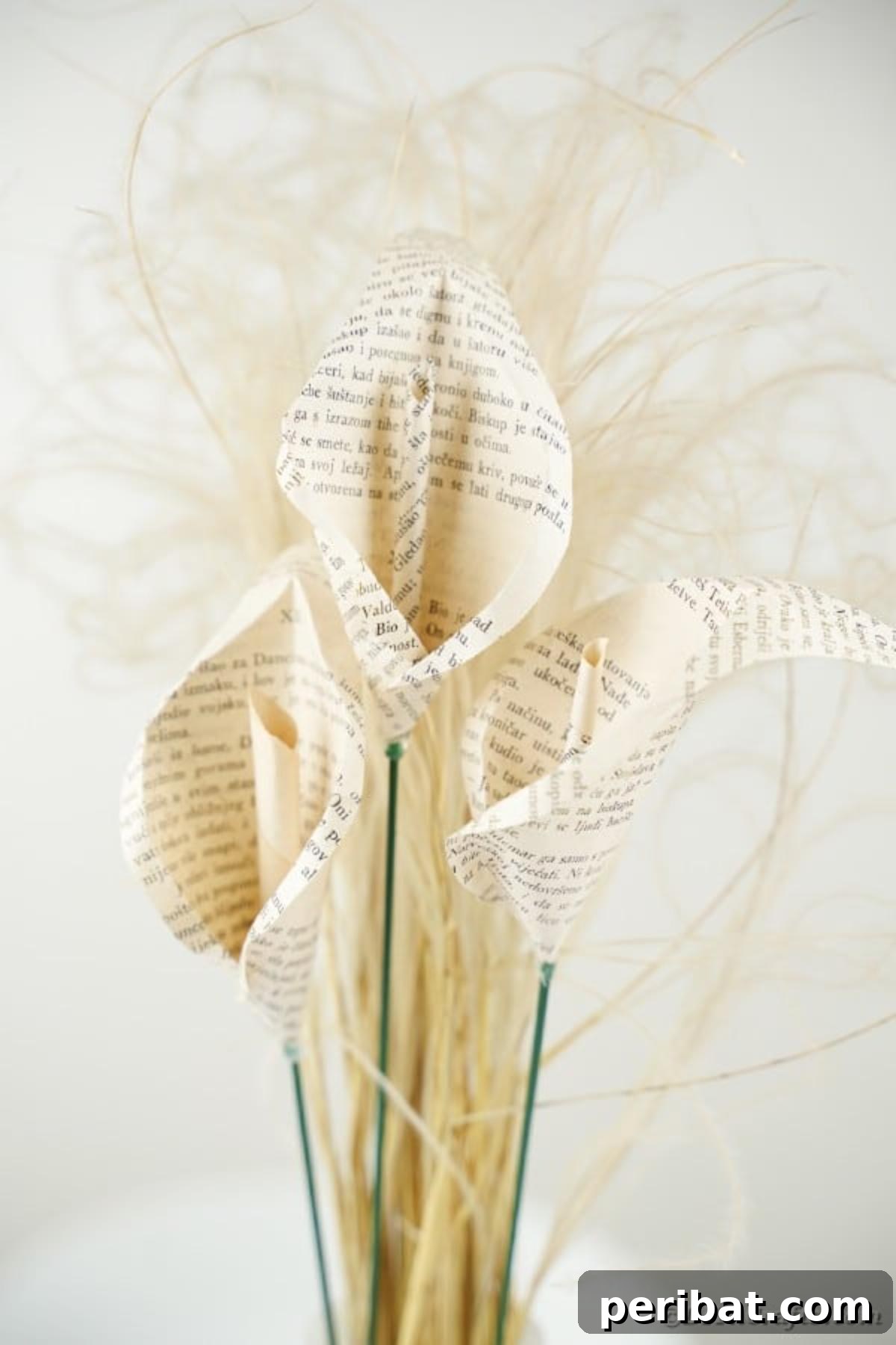 Whispering Pages Calla Lily Bouquet 38 Calla lilies in vase in front of white background
